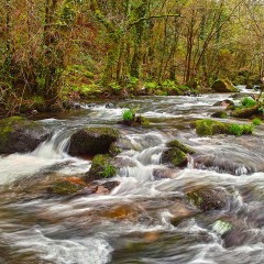 RIO ALBARIA