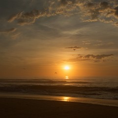 Amanecer marino