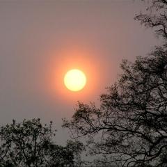 Atardecer en Guaycolec...