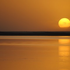 Laguna dorada