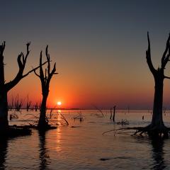 Ocaso