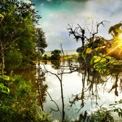 Paisaje de SSS para Carlitos.