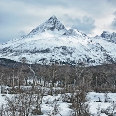 Tierras australes