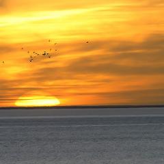 Atardecer Invernal