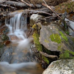 rincones mgicos I