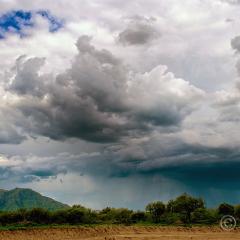 Lluvia azul