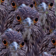 Mirada de Bruja