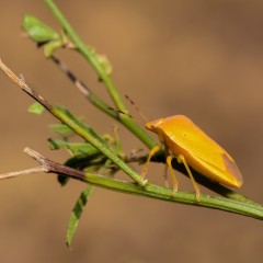 Un poco de color